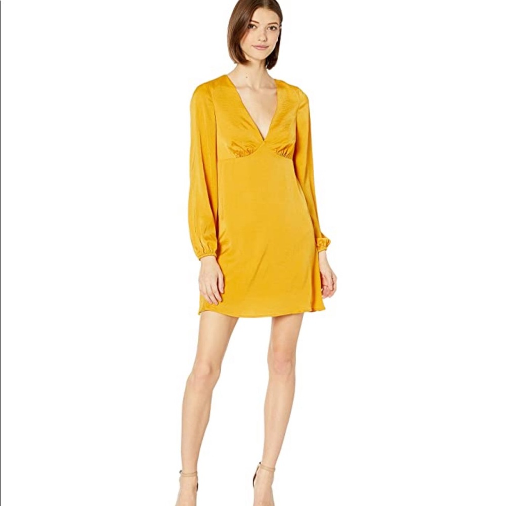 BCBG eneration dress